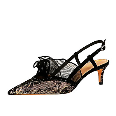 cheap Sandals-Women&#039;s Sandals Stiletto Heel Pointed Toe Sexy Party &amp; Evening Mesh Lace Flower Solid Colored Black Champagne Silver