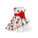Îmbrăcăminte de Fete New Sale