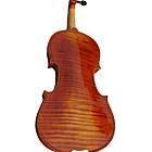 Instrumentos de Corda