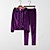 cheap Running &amp; Jogging Clothing-Women&#039;s 2 Piece Full Zip Athleisure Tracksuit Long Sleeve Warm Breathable Shining Velour Running Jogging Exercise Sportswear Solid Colored Track pants Purple Blue Pink Green Activewear Micro-elastic