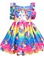 cheap Girls&#039; Dresses-Kids Little Girls&#039; Dress Rainbow Floral Patchwork Party Casual Holiday Pleated Print Rainbow Knee-length Sleeveless Active Sweet Dresses Children&#039;s Day Summer Regular Fit 2-12 Years