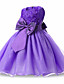 cheap Girls&#039; Dresses-Kids Toddler Little Girls&#039; Dress Solid Colored Tulle Dress Flower Party Prom Floral Bow Blue Purple Blushing Pink Mesh Lace Tulle Above Knee Sleeveless Active Sweet Dresses 2-12 Years