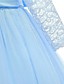 cheap Girls&#039; Dresses-Kids Little Girls&#039; Dress Floral Lace Solid Colored Party Wedding Evening Hollow Out White Blue Purple Lace Tulle Maxi Short Sleeve Flower Vintage Gowns Dresses 3-13 Years
