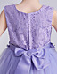 cheap Girls&#039; Dresses-Kids Little Girls&#039; Dress Floral Lace Party Princess Solid Colored Causal White Purple Blushing Pink Mesh Lace Tulle Cute Sweet Dresses 3-12 Years