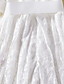 cheap Girls&#039; Dresses-Kids Little Girls&#039; Dress Solid Colored Birthday Pegeant A Line Dress Ruched Mesh Lace Red White Beige Midi 3/4 Length Sleeve Princess Cute Dresses Fall Summer Regular Fit 2-8 Years